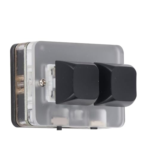 LICAEVEY USB 2-Key Mini Keypad, Support Programming Macro and Software Blue Switch Custom Keyboard with RGB Light, Support Bluetooth and USB C Connection
