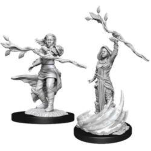 D&D Nolzur's Marvelous Miniatures - Male Human Warlock