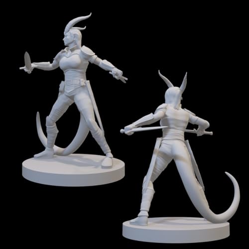 Ranger Miniatures for DND Pathfinder RPG Unpainted Resin 28mm-32mm 3D Printed (Tiefling Female Ranger Two Swords) - style: Tiefling Female Ranger Two Swords