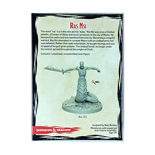 Gale Force Nine Dungeons & Dragons- Tomb of Annihilation Ras Nsi (1 fig), Multicoloured - style: Ras Nsi