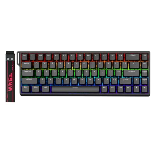 AULA WIN68 HE Mechanical Gaming Keyboard 60%, Hall Effect Magnetic Switch, Fast Trigger Mode Adjustable Actuation, 8000Hz Polling Rate, RGB Backlit, Wired Black Keyboard for Laptop/PC Gamer - color: Black-standard version