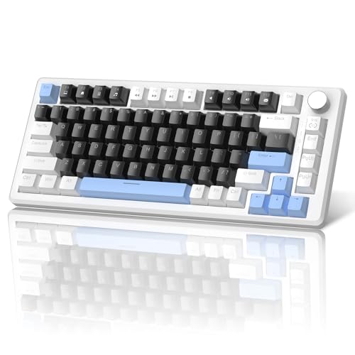 MageGee 75% Mechanical Gaming Keyboard, Compact Blue Backlit Wired Gaming Keyboards with Black Switches, EVA Foam, Knob Control, STAR75 Portable NKRO PC Gaming Keyboard - Black & Blue - color: Black & Blue - Black Switch