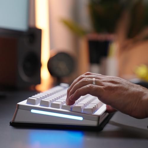 GLORIOUS Gaming Sound Dampening Keyboard Mat - Stitched Edges, Absorbs Keyboard Sounds & Vibrations, Machine Washable, Non-Slip Base, Fits Most Tenkeyless Keybaords, 14.17 x 5.35 x 0.16mm - Black | Absorbs noise and vibrations, quilted edges to prevent fr