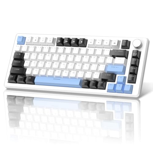 MageGee 75% Mechanical Gaming Keyboard, Compact Blue Backlit Wired Gaming Keyboards with Brown Switches, EVA Foam, Knob Control, STAR75 Portable NKRO PC Gaming Keyboard - White & Blue - color: White & Blue - Brown Switch