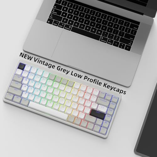 Womier Low Profile Keycaps - Shine Through Keycaps 60 65 75 100 Percent | Keyboard Key caps PBT Full Size for Cherry Gateron MX Switches Mechanical Keyboard, Grey/White - color: Grey