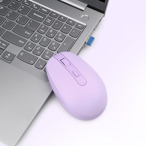 Rii Wireless Mouse RM700 2.4G Silent Mouse with USB Nano Receiver for Laptop,PC,Mac,Chromebook,Windows (Purple) - color: Purple