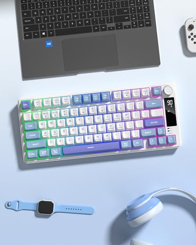 Womier DK75 75% Wireless Gaming Keyboard, RGB Backlit Creamy Keyboard with Media Knob, OLED Screen, Tri-Mode 2.4GHz/USB-C/BT5.0, Anti-Ghosting No-Conflict Silent Membrane Keyboard for MAC Windows - color: Blue&Purple