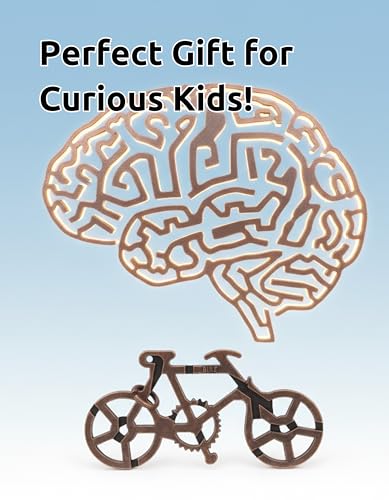 Bicycle Puzzle by Sharp Brain Zone – Premium Durable Metal Brainteaser | Challenging 3D Mechanical Logic Game, Focus & Stress Relief Tool, Travel Brain Teaser & Unique Gift for Puzzle Lovers - style: Bicycle