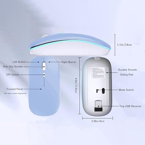 WREANU Wireless Bluetooth Mouse Rechargeable Laptop Mice with LED Lights Silent Slim Use(BT5.2 and 2.4G Portable USB) Dual Mode Computer Mouse for Laptop/iPad/Tablet/Apple/Computer/Mac (Blue) - color: Blue