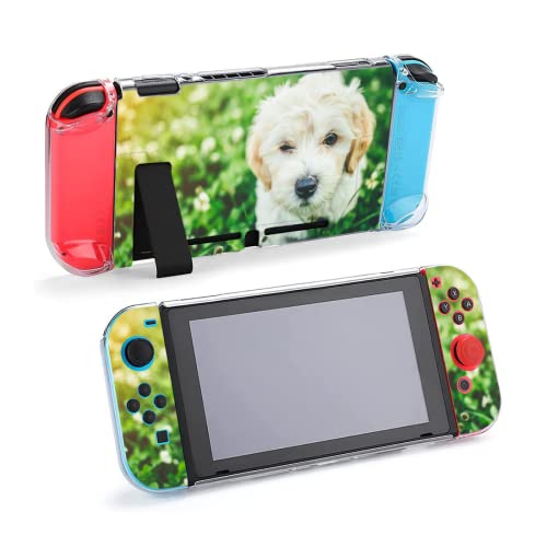 Custom Protective Case for Nintendo Switch Personalized Hard Shell Cover with Picture Photo Text for Boys Girls - color: Custom Case