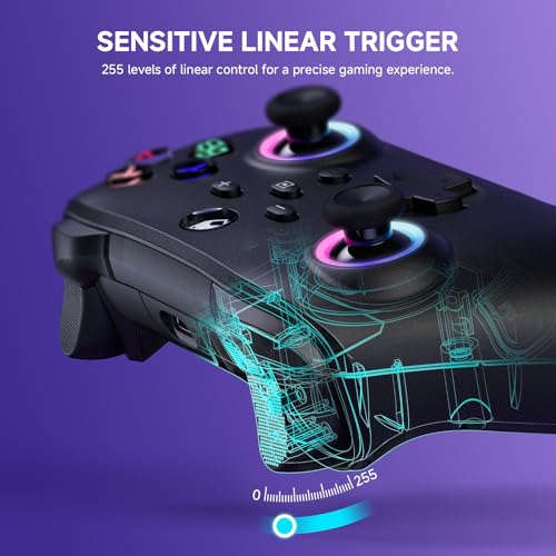 ECHTPower Switch 2 Controller, 2025 Wireless Controller with RGB/Macro/Shift/Turbo/Vibration, 1000mAh Bluetooth Controller Compatible with Switch/Switch 2/PC/Adroid/iOS - color: Dark