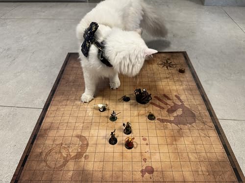 FantasyDice Foldable 1" Grid Battle Map Double Sided Dry Erase 24 x 36 Mat for Tabletop RPG Perfect for Dungeons and Dragons DND Pathfinder Call of Cthulhu Warhammer 40K Portable with PVC Zipper Bag