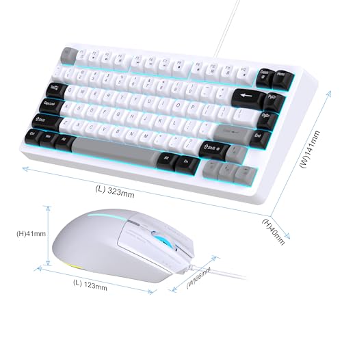 Snpurdiri 75% Wired Gaming Keyboard and Mouse Combo (Black Grey White) | 81-Key Compact Gaming Keyboard, Retro Round Keycaps Ice Blue Backlit Keyboard for Laptop, Easy to Carry on Business Trip - color: Black Grey White