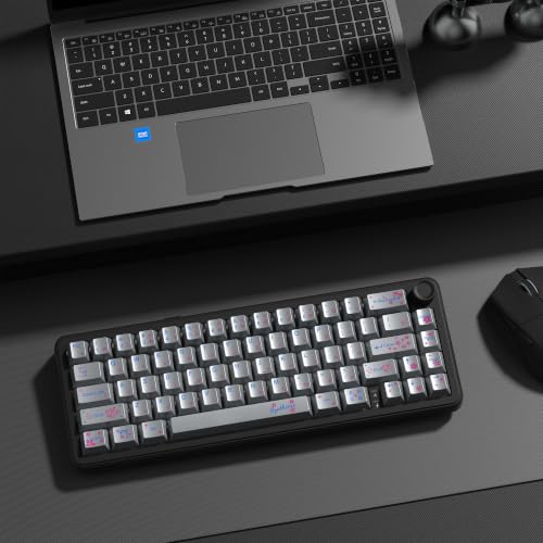dagaladoo PBT keycaps Set,Cherry Profile Keyboard keycaps,Metal Coating | Retro key caps,Custom keycaps for 60% 65% 75% 100% Cherry-MX switch Mechanical Keyboard,Silver,130keys - color: Silver Metal Coating