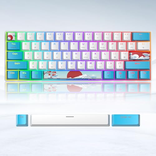 60% Mechanical Keyboard Blue and White, Compact 60 Percent Gaming Keyboard RGB Backlit, 61 Keys Mini Keyboard, USB Wired Office Keyboard for Windows Mac Laptop PC (61 Sea/Red Switches) - color: 61 Sea/Red Switch