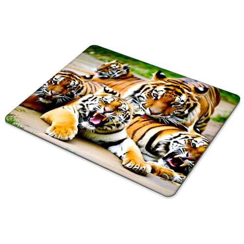 Square Mouse Pad Big cat,Gaming Mouse Pads for Desk,Soft Computer Waterproof Non-Slip Mouse Mat - color: Big cat