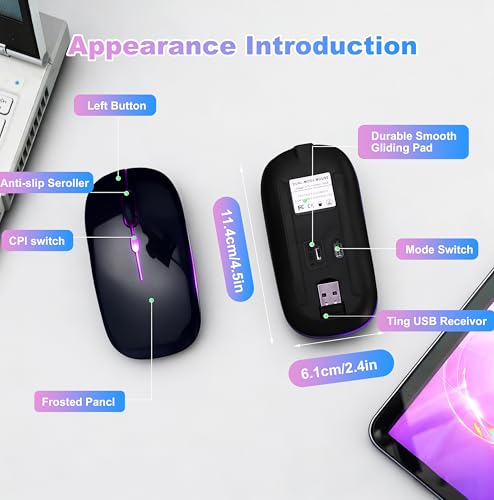Wireless Bluetooth Mouse Rechargeable Long Lasting Dual Mode - BT 5.2 & 2.4G Silent RGB LED Mice, Slim Portable Ergonomic Mouse for Laptop/PC/Tablet/MacBook/iPad/Apple Devices(Black) - color: Black