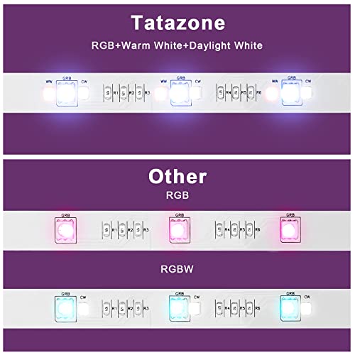 Tatazone RGBWW Bluetooth LED Strip Lights, 65.6ft Tunable White 3000K to 6500K+RGB Led Light Strips, Music Sync Color Changing Indoor LED Rope Lights for Cabinet, Bedroom,2 Roll of 32.8ft - style: Bluetooth-65.6ft-Not Support Alexa and Google