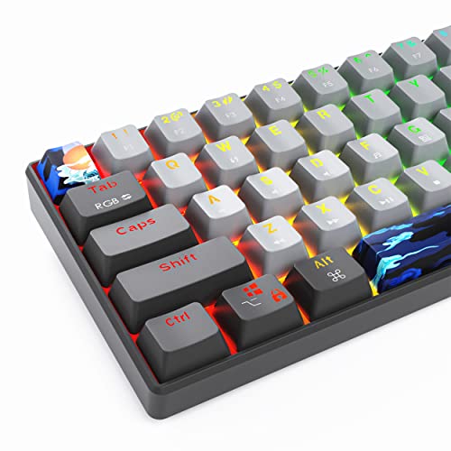 Protable 60% Percent Gaming Keyboard Mechanical, Mini Compact RGB Backlit 61 Keys Wired Office Keyboard with Red Switch for Mac/Win (Dolch/red Switch) - color: Dolch/red Switch