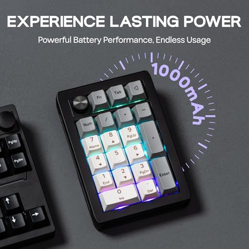 EPOMAKER EK21 VIA Gasket Number Pad w/ 1000mAh Battery, BT 5.0/2.4GHz/Wired | Hot-Swap Numpad with Aluminum Alloy knob, Programmable for Win/Mac/Gaming (Black Silver, Zebra Switch) - color: Black Silver, size: Zebra Switch