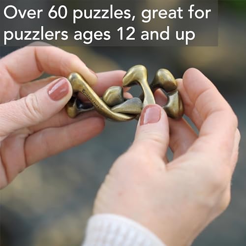 BePuzzled |Ring Hanayama Metal Brainteaser Puzzle Mensa Rated Level 4, for Ages 12 and Up