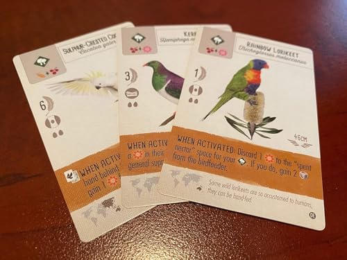 Stonemaier Games: Wingspan Oceania Expansion by Elizabeth Hargrave | Add to Wingspan | Includes New Player Mats, Food, Eggs, Cooperative Mode, & 95 Unique New Colorful Birds | 1-5 Players, 70 Mins - style: Oceania Expansion