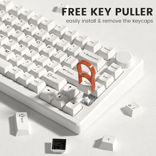 dagaladoo Double Shot PBT keycaps Set, Cherry Profile Keyboard Keycaps | Retro key caps full size,Custom keycaps for 60% 65% 75% 100% Cherry-MX switch Mechanical Keyboard(Milky White,126-keys) - color: Milky White