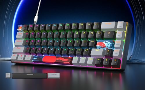 65% Mechanical Keyboard 68-Key Wired Gaming Keyboard with Red Switch RGB Lighting Effect PBT Keycaps Ultra-Compact Mini Keyboard Suitable for Win/Mac(68 Dark) - color: 68 Dark/Red Swicth