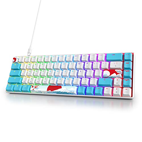 65% Mechanical Keyboard 68-Key Wired Gaming Keyboard with Blue Switch RGB Lighting Effect PBT Keycaps Ultra-Compact Mini Keyboard Suitable for Win/Mac(68 Sea) - color: 68 Sea/Blue Switch
