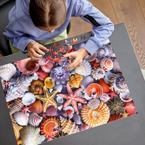 500 Pieces Jigsaw Puzzles for Adults–Colorful Beach Shells Puzzle for Adults Elderly–Recycled Paper Puzzle 500 Pieces–Glossy, Sturdy Pieces Challenging Family Game Great Gift Idea (20.5x15in) - color: Shell