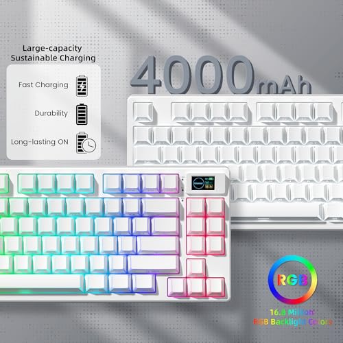 Womier 75% Wireless Mechanical Keyboard with Color Multimedia Screen | PC Gaming Keyboard, 3-Modes Hot Swappable Shine Through Manga Keyboard w/Wrist Rest, Gasket RGB Custom for Mac/Win (SK80 PRO) - color: White-1