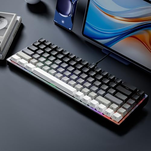65% Gaming Keyboard, LED Backlit Mini Wired Keyboard, Ultra-Compact Anti-Ghosting No-Conflict 68 Keys Membrane Gaming Wired Keyboard for PC Laptop Windows Gamer(Gray-White) - color: Gray