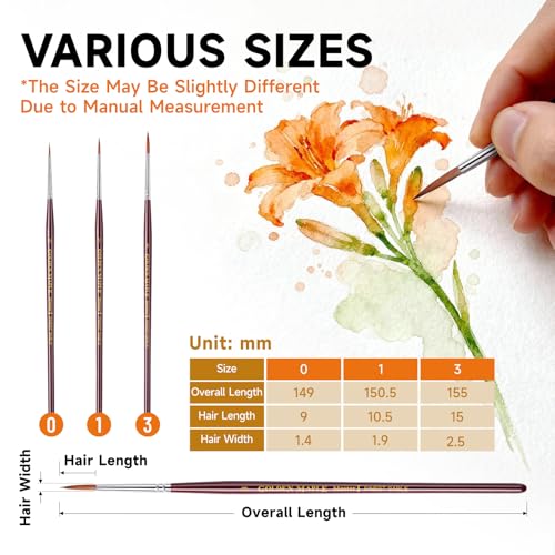Golden Maple Kolinsky Sable Miniature Paint Brushes, Professional Detail Paint Brushes Round Point Paint Brush for Models, Watercolor Details, Figures & Gouache Painting - Size 0, 1, 3 - size: 0 1 3 Round Point
