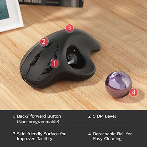 Nulea M501 Wireless Trackball Mouse Ergonomic Thumb Control, 4 DPI Levels | Rechargeable rollerball mouse with Bluetooth USB receiver,3 device use,smooth tracking,compatible with PC Mac Windows-Purple - color: C-Purple