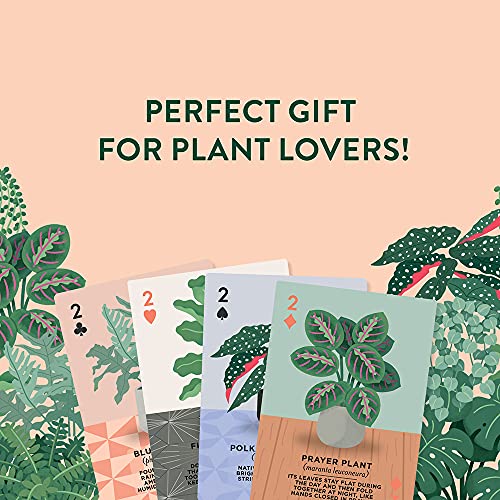 Ridley's Games: Houseplants Playing Cards| 52 Unique Hand-Illustrated Donut Playing Cards – Includes a Durable Storage Tin for Easy Travel – Makes a Great Gift Idea for Plant Parents - style: Houseplants Playing Cards