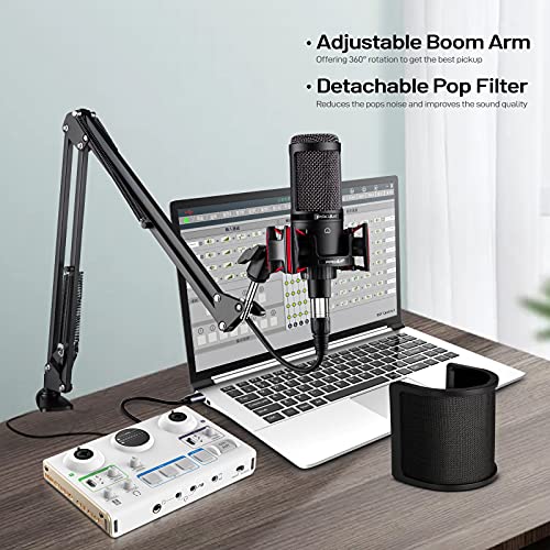 Condenser Microphone XLR,Professional Studio Recording Microphone for Computer PC,Cardioid Podcast Mic Kit with Boom Arm,Gaming Microphone for Streaming,ASMR,Singing,Voice Over,Vocal,YouTube,Zoom | 48V power required.XLR podcast mic for vocals, voiceovers