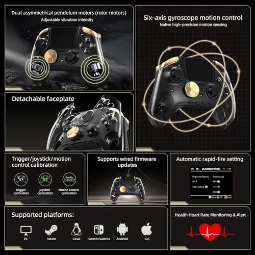 Cintwor RG G01 Interactive Screen Wireless Gaming Controller for Steam/PC/Switch/Linux/Android/iOS, 2.4G Wireless Bluetooth Controller with Screen, Heart Rate Monitor, Hall Effect Triggers (Black) - color: black