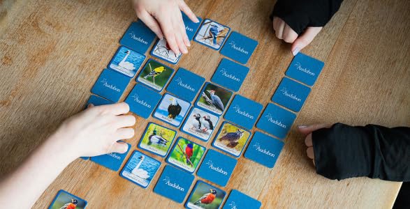 Masterpieces Officially Licensed Audubon Picture Matching Card Game for Kids and Families - style: Audubon