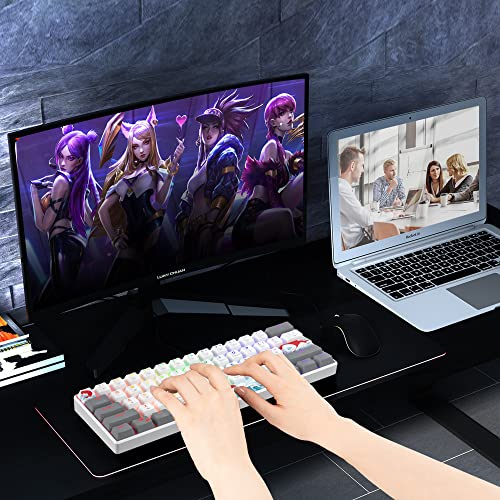 60% Mechanical Keyboard 61-Key Wired Gaming Keyboard with Red Switch RGB Lighting Effect PBT Keycaps Ultra-Compact Mini Keyboard Suitable for Win/Mac(61 White) - color: 61 white/Red Swicth