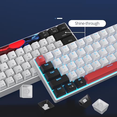 surmen 60% Mechanical Gaming Keyboard with Linear Red Switch, Wired Mini Compact Keyboard 60 Percent Backlit for Laptop Desktop PC Gamers (61 White-Ice Blue) - color: 61 White-Ice Blue