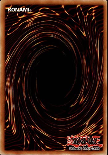 2016 Yu-Gi-Oh Starter Deck Yuya 1st Edition #YS16EN013 Performapal Hip Hippo C