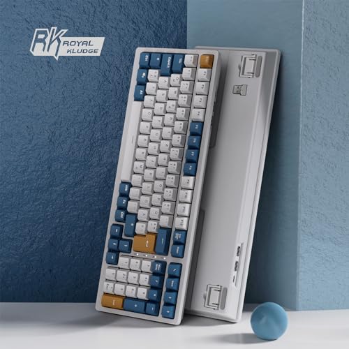 RK ROYAL KLUDGE RK98 Wireless Mechanical Keyboard, Triple Mode 2.4G/BT5.1/USB-C Hot Swappable Keyboard with Number Pad, Pre-lubed Clicky Switches RGB Backlit Gaming Keyboard, Software Support - color: White, size: Hot Swap Blue Switch