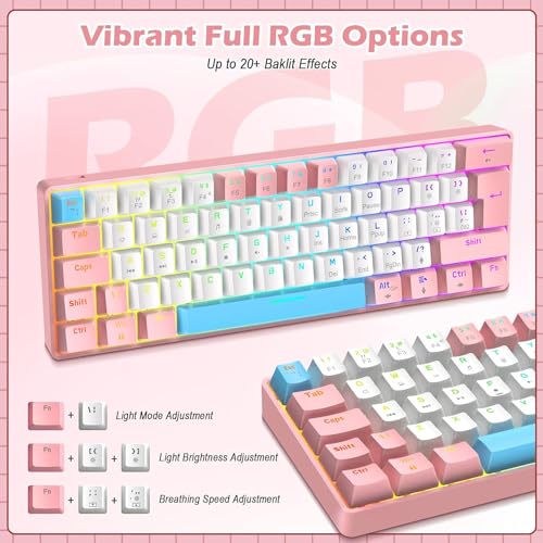 RK-T60 Wired 60% TKL Mechanical Gaming Keyboard Led Rainbow Backlight Ultra-Compact NKRO Linear Red Switch ABS Keycap RGB Honeycomb Mice Coiled Aviator Cable for Windows Laptop PS4/PC/WIN Gamer - color: Pink/Blue Switch