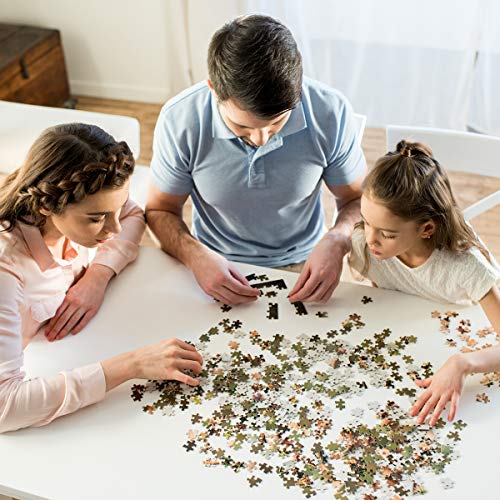 Jigsaw Puzzle 1000 Piece for Adults (Spring Patio I) - color: Spring Patio I