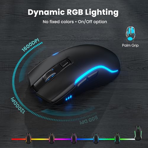 SABLUTE Wireless Keyboard and Mouse Combo, Rechargeable 4000mAh Light up Quiet Keyboard with Wrist Rest & Phone Holder, Ergonomic Silent Typing for PC/Mac/Laptop/Windows/Chrome OS - color: Black A