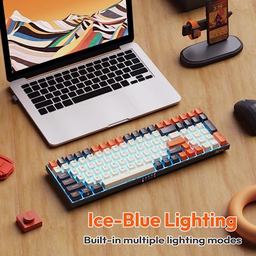 RK ROYAL KLUDGE RK100 Wireless Mechanical Keyboard RGB Backlit Bluetooth5.1/2.4G/Wired 96% Full Size 100-Key Hot Swappable Gaming Keyboard Blue Switch Carbon | 96% Full Size Keyboard with Number Pad, 2.4Ghz/BT/Wired, Hot Swappable PCB, 3750mAh battery, RG