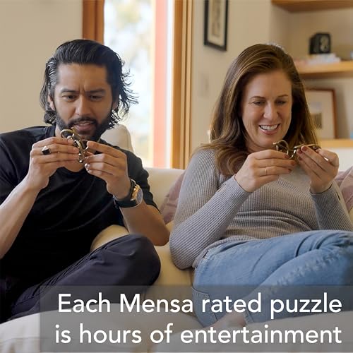 BePuzzled |Harmony Hanayama Metal Brainteaser Puzzle Mensa Rated Level 2, for Ages 12 and Up