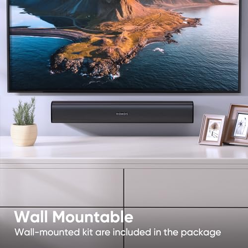 RIOWOIS 17" Sound Bar, Home Theater Surround Sound System for TV | Bass Reflex Port, Compatible with Fire TV Remote, Support Optical/AUX/Bluetooth 5.3 Input, Compact Design, Wall-mountable - size: 17-inch