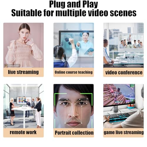 1080P Full HD Webcam with Dual Microphones, Security Camera,90 Degree FOV, Plug and Play USB for Streaming and Conferencing, Black