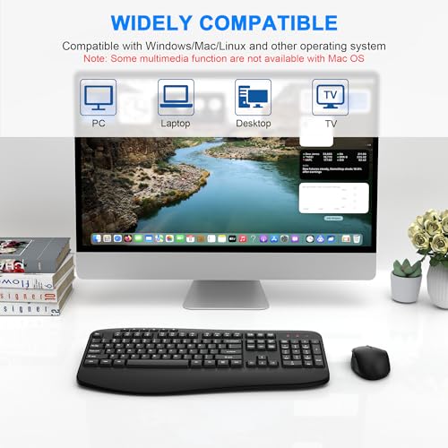 Wireless Keyboard and Mouse Combo, EDJO 2.4G Full-Sized Ergonomic Computer Keyboard with Wrist Rest and 3 Level DPI Adjustable Wireless Mouse for Windows, Mac OS Desktop/Laptop/PC,Classic Black - color: Classic Black